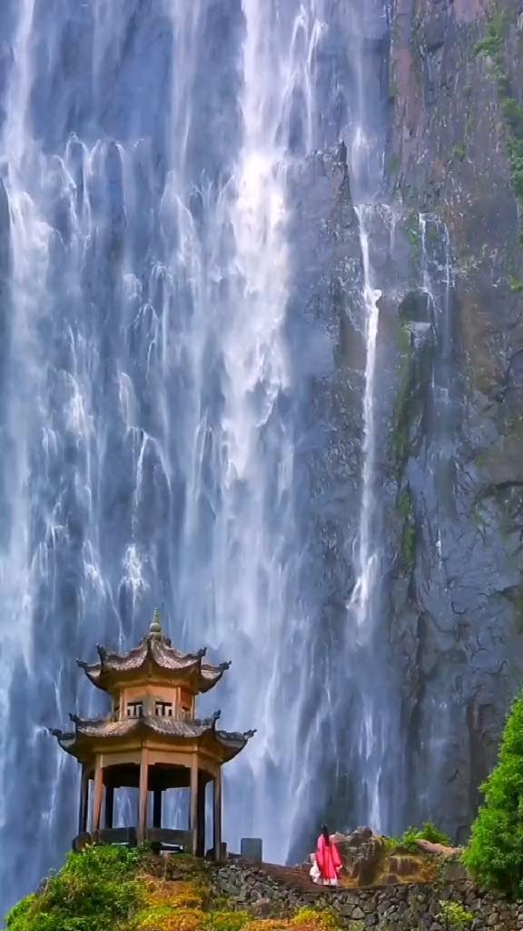 小仓鼠吃瓜子