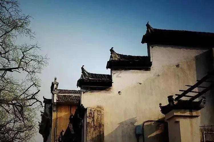 蛇蛇足球赛